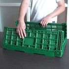 Grüne zusammenklappbare Frucht-Plastikkisten tragbar für Home-Shopping
