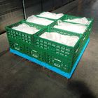 Grüne Plastikspeicherkiste 600x400x220cm für Frucht-Gemüse