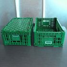 Grüne Plastikspeicherkiste 600x400x220cm für Frucht-Gemüse